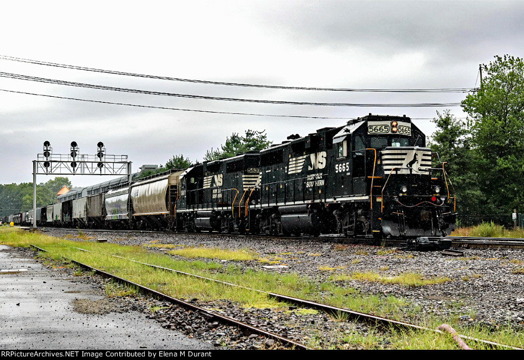 NS 5665 and NS 5637 on H-55